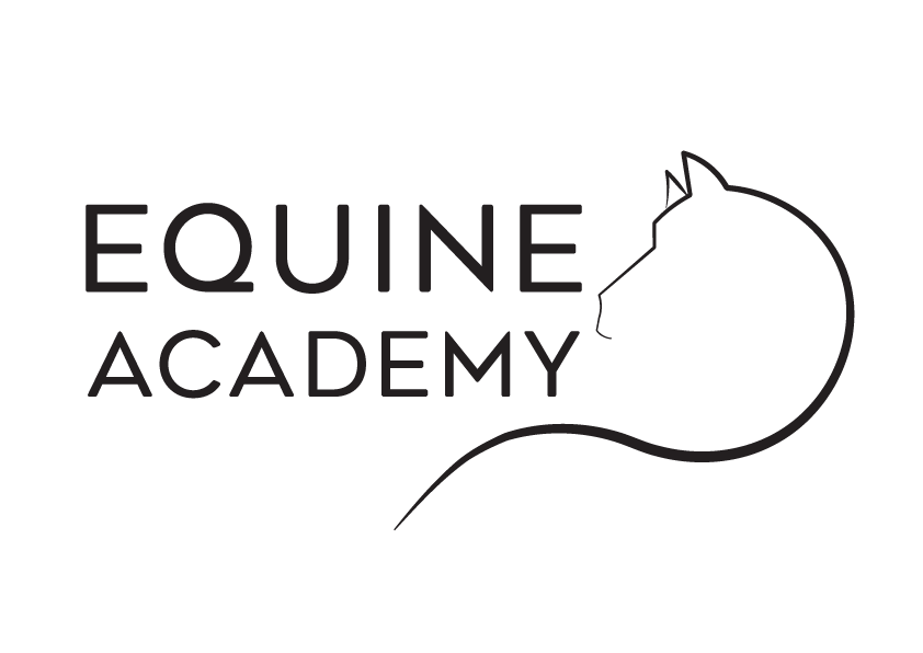 Equine Academy